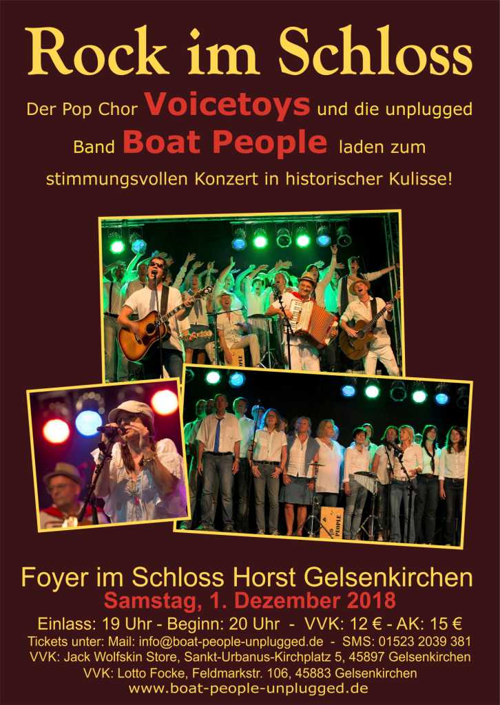 Read more about the article Rock im Schloss: Voicetoys und Boat People am 01.12.18 im Doppelpack